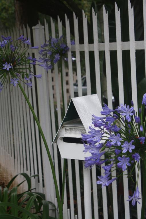 Meander In Bed and Breakfast Howick Εξωτερικό φωτογραφία
